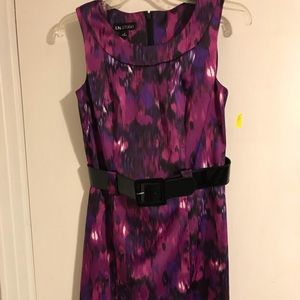 Petite size I.N. Studio dress